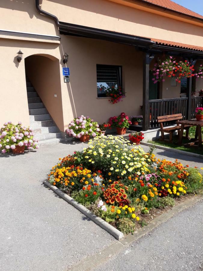 קורניצה Guest House Vana מראה חיצוני תמונה
